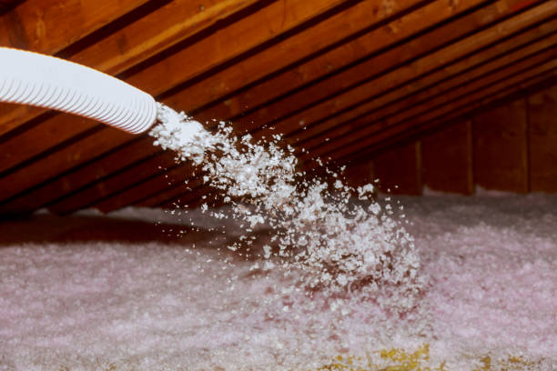 Best Insulation Repair Services  in Riesel, TX