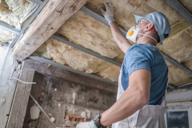 Best Spray Foam Insulation  in Riesel, TX