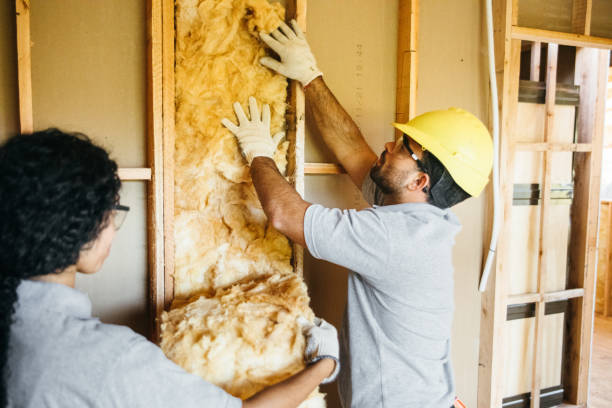 Best Wall Insulation Contractor  in Riesel, TX