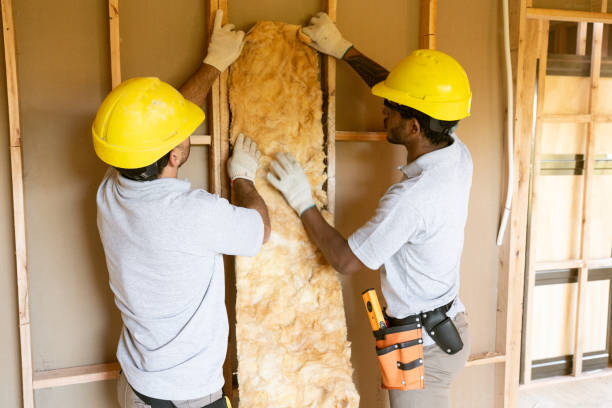 Best Commercial Insulation Contractor  in Riesel, TX