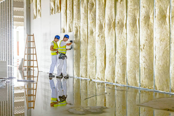 Best Insulation Repair Services  in Riesel, TX